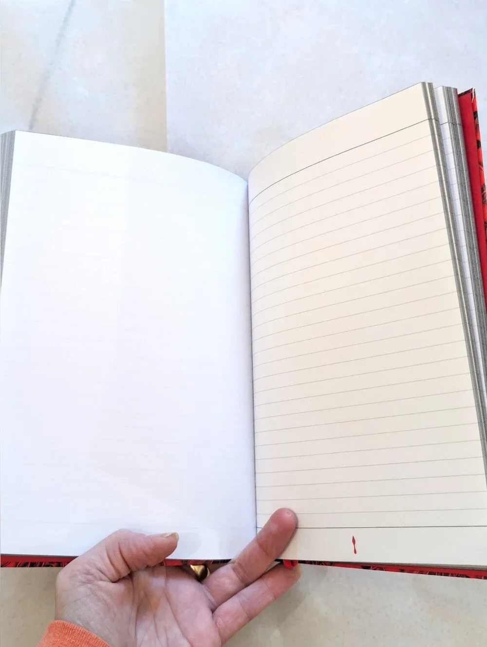 Christian Louboutin Hardcover Notebook Journal- Brand New in Box